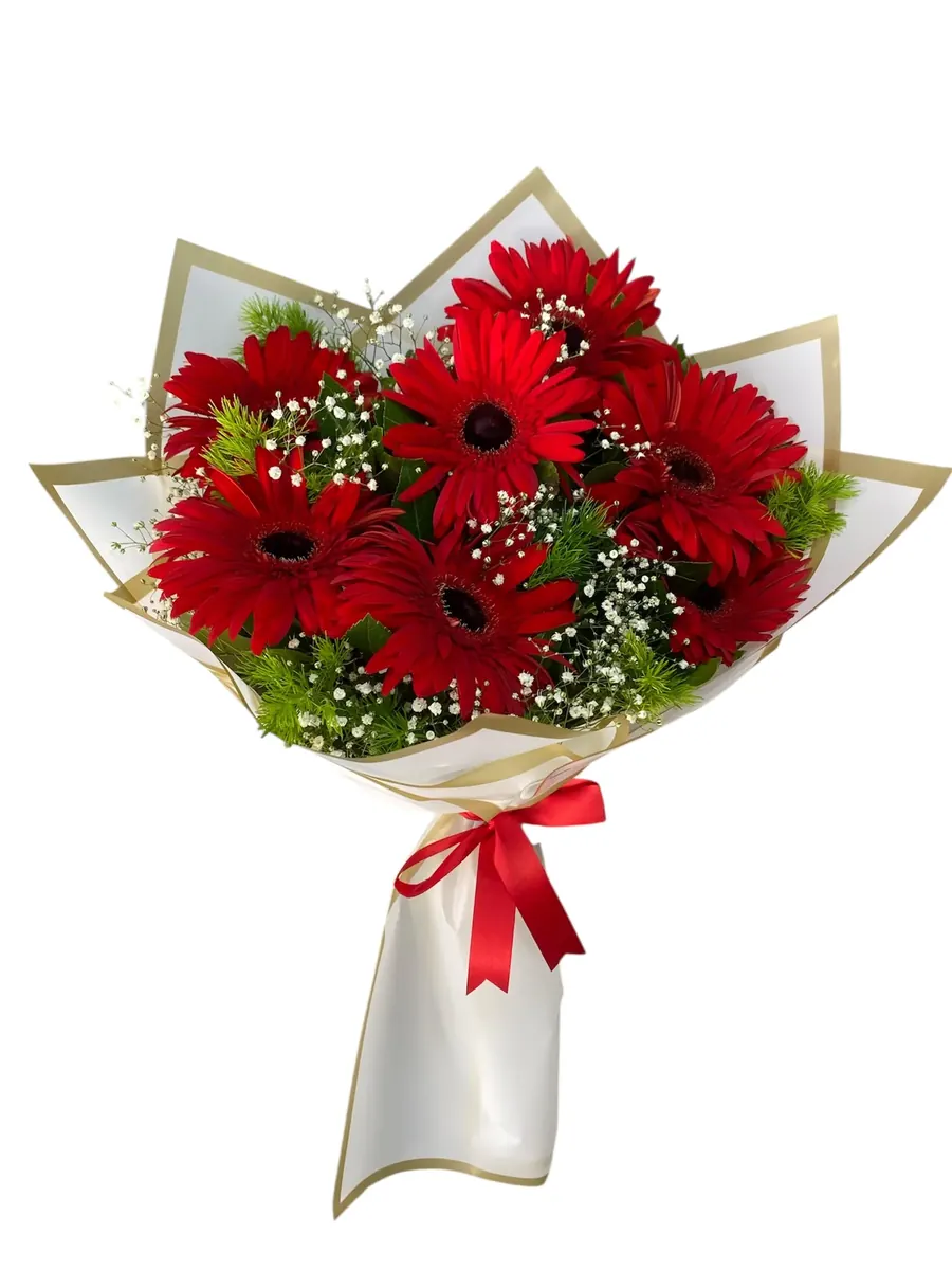 7 Kırmızı Gerbera