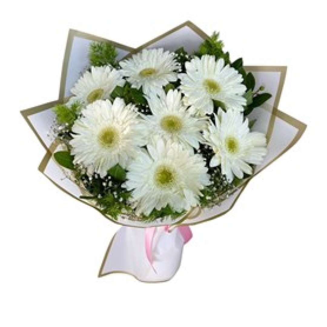 7 Beyaz Gerbera